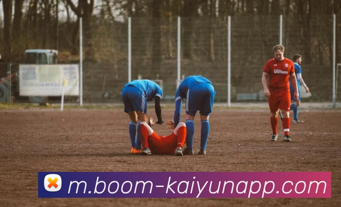 开云体育平台生态图